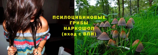 apvp Алексеевка