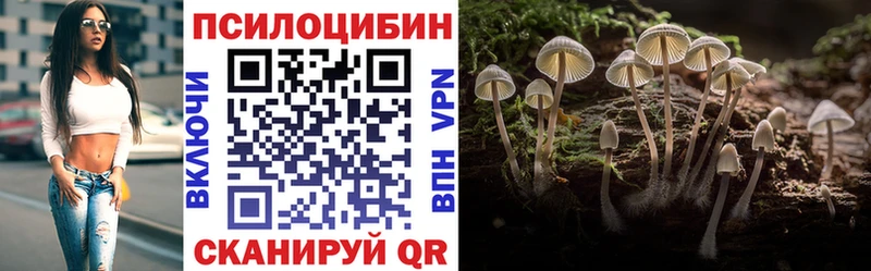 Галлюциногенные грибы Psilocybine cubensis  MEGA сайт  Лодейное Поле 